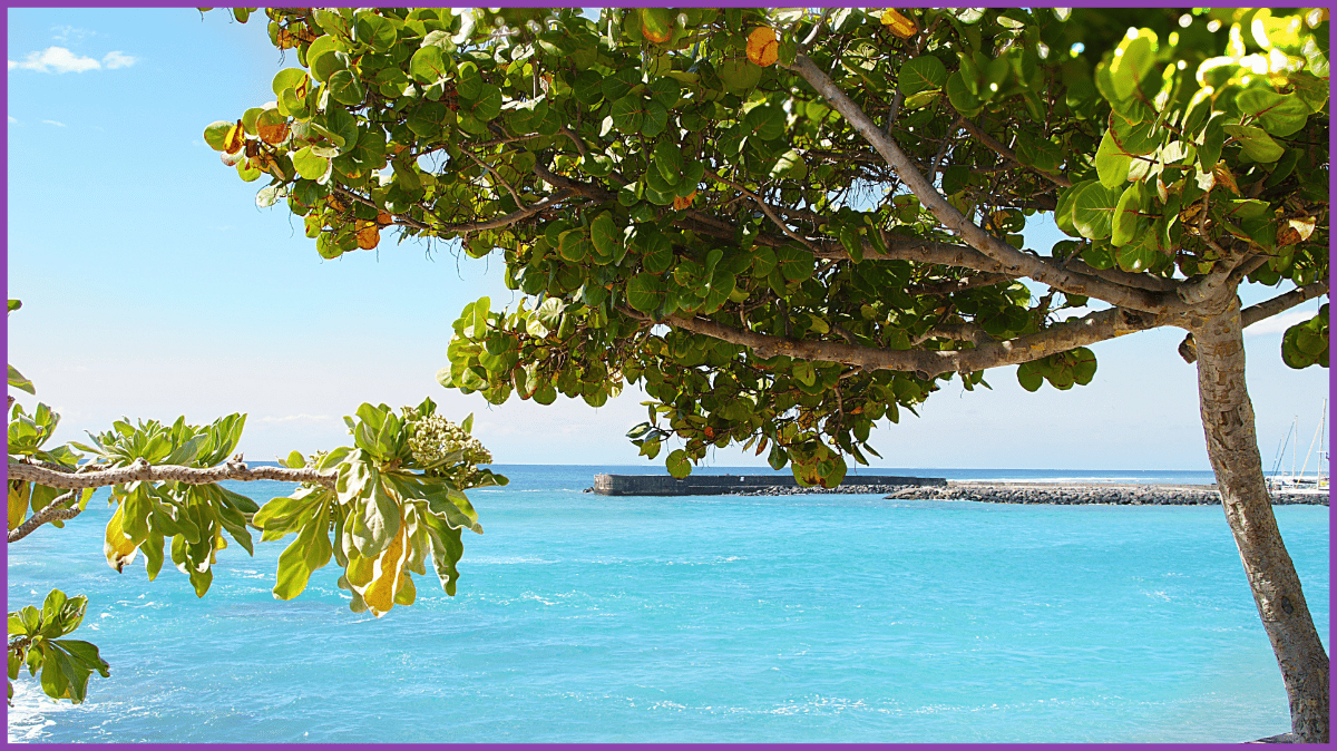 Location de gîte à la réunion